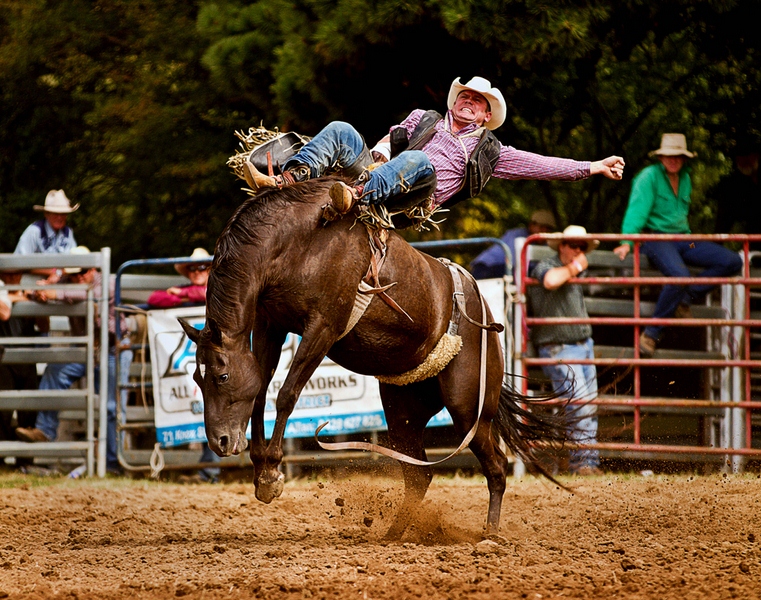 793 - ROUGH RIDE - WATSON GRAEME - australia.jpg
